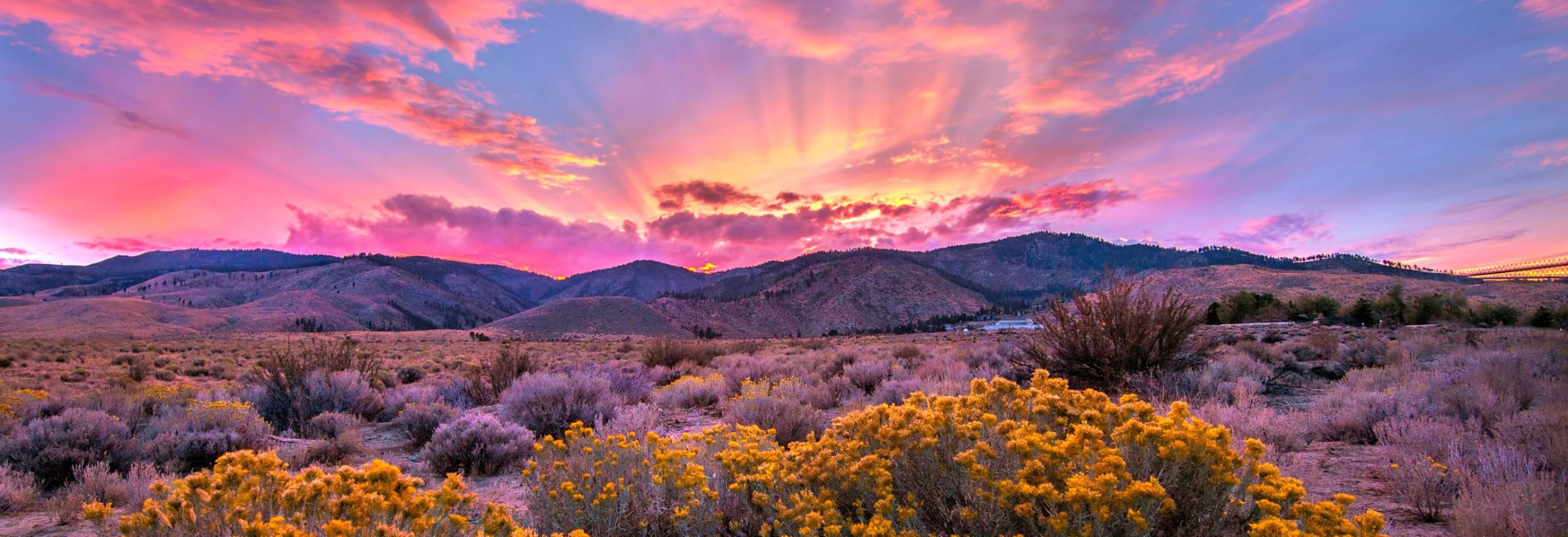 Nevada Bank and Trust